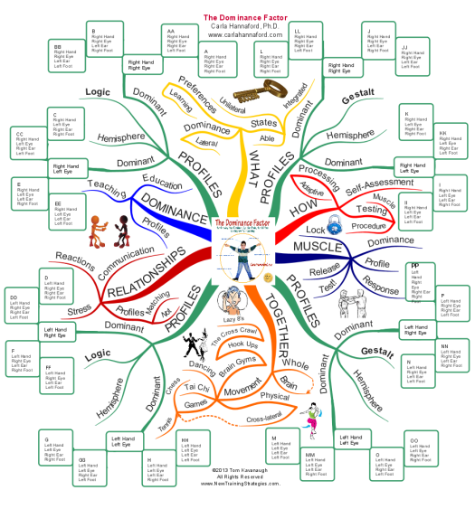 The Dominance Factor: Imindmap Mind Map Template 