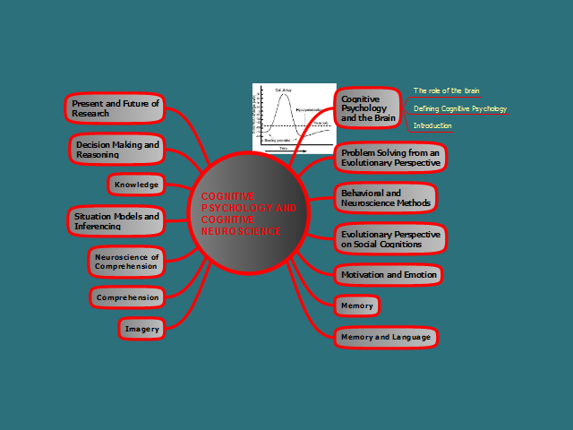 ConceptDraw Cognitive Psychology And Cognitive Neuroscience Mind Map 