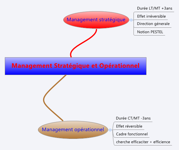 Management Strat Gique Et Op Rationnel Xmind Mind Map Te Biggerplate