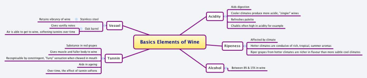 very-detailed-steps-to-tasting-wine-like-a-pro-wine-101-wine-guide