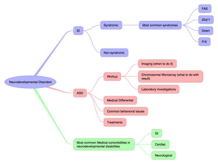 Neurodevelopmental Disorders mind map  Biggerplate