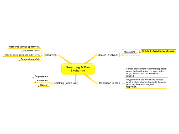 Breathing and Gas Exchange GCSE mind map | Biggerplate