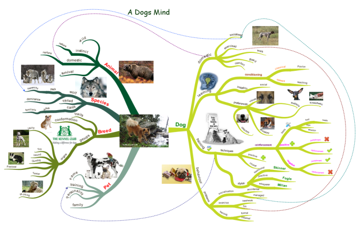 iMindMap A Dogs Mind mind map Biggerplate