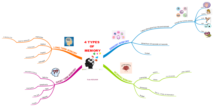 Types Of Memory Imindmap Mind Map Template Biggerplate The Best Porn