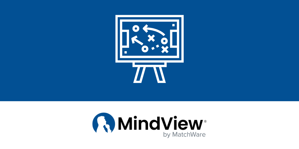 Strategic Planning with MindView
