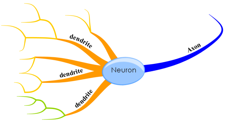 Neuron Concept Map