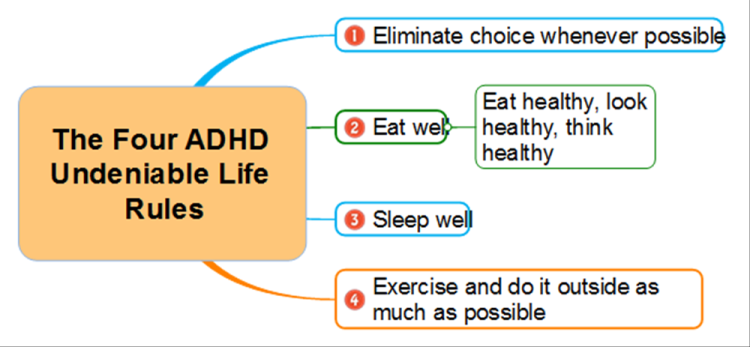 best mind mapping software for adhd