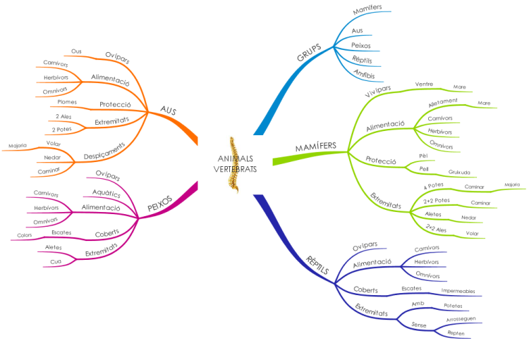 Ментальная карта животные