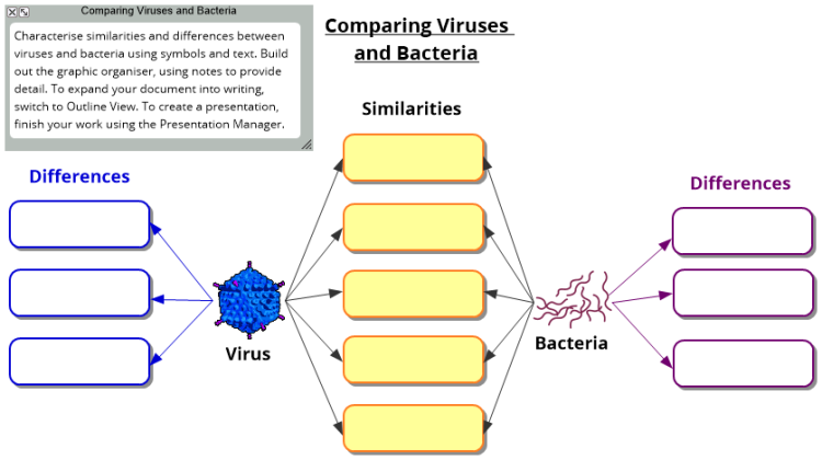 Virus - Bacteria Comparison Template: Inspiration mind map template