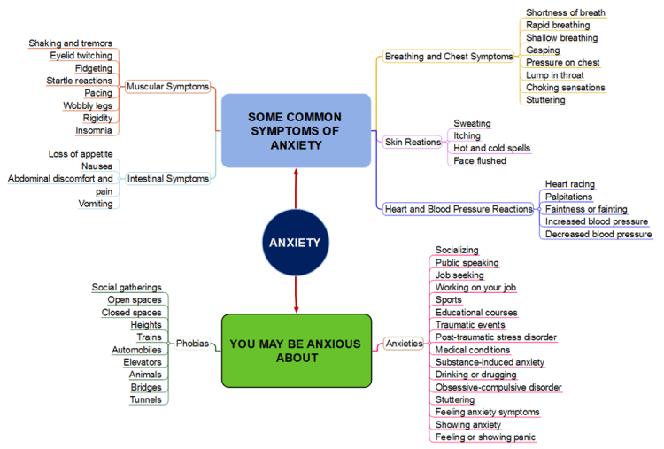 Anxiety Concept Map