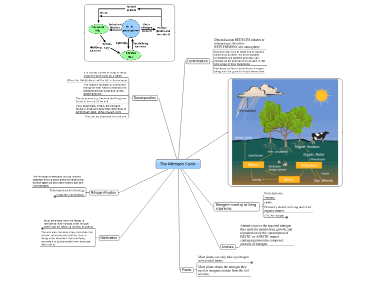 Nitrogen Cycle Concept Map The Nitrogen Cycle: Mindmanager Mind Map Template | Biggerplate