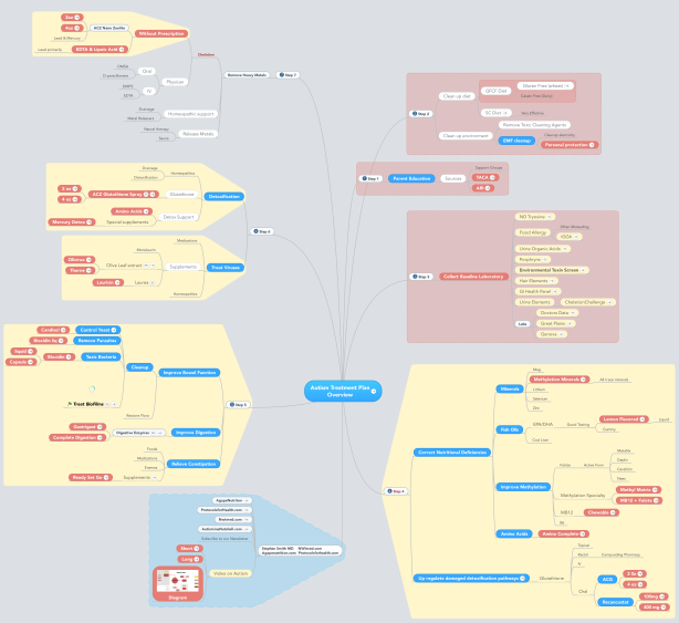 autism-treatment-plan-overview-mindmeister-mind-map-template-biggerplate