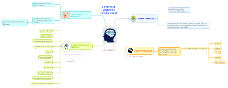 4 TYPES OF MINDSETS FOR SUCCESS: IMindMap Mind Map Template | Biggerplate