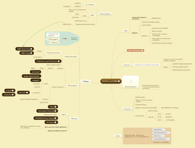 Clean  MindMeister Mind Map