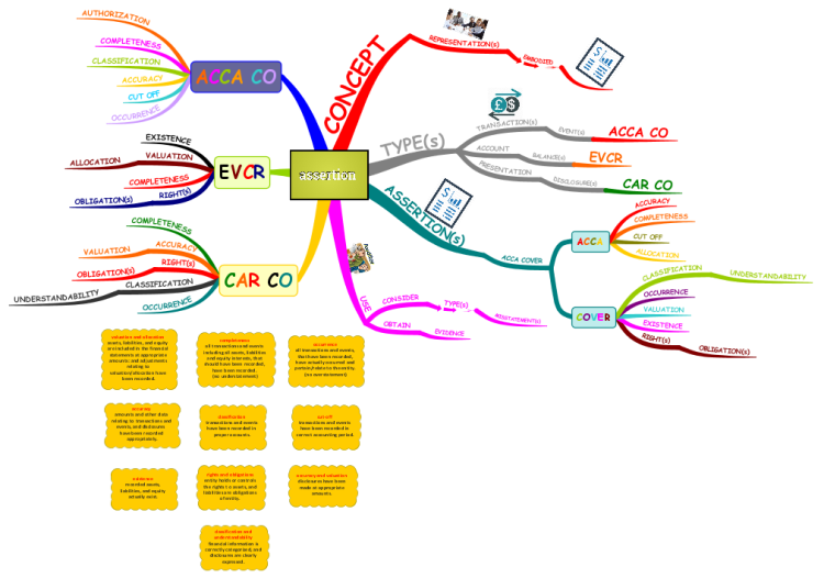 Management Assertion Imindmap Mind Map Template Biggerplate