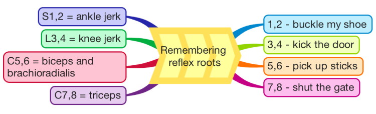 remembering-reflex-roots-imindmap-mind-map-template-biggerplate