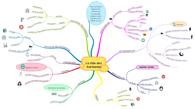 iMindMap: CH Le rôle des hormones mind map | Biggerplate