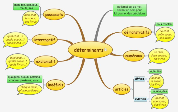 Les déterminants (CM2) | Carte mentale, Carte heuristique, Apprendre l ...