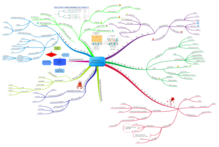 Id 1 - Microbial Pathogenesis: iMindMap mind map template | Biggerplate