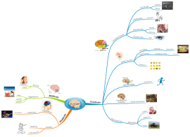 Physical Education Mind Map Download Free Health & Fitness Mind Map Templates And Examples | Biggerplate