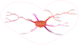 Mind map templates and examples by iMindMap | Biggerplate