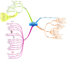 Download free Health & Fitness mind map templates and examples ...