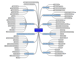 Managing Projects