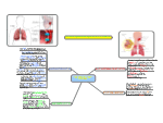 GCSE Mind Maps - Biology Mind Map Templates group | Biggerplate