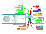 GCSE Mind Maps - Biology Mind Map Templates group | Biggerplate