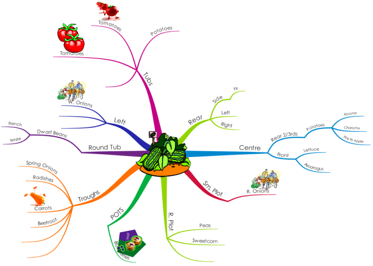 Ментальная карта овощи