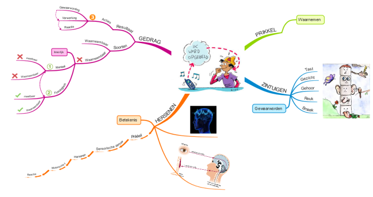 Waarnemingsproces mind map | Biggerplate